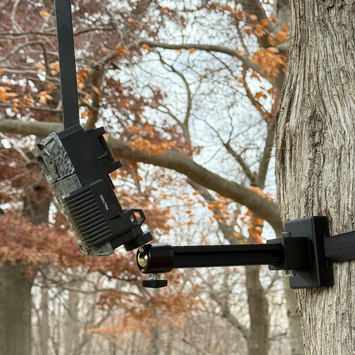 Trail Camera Mount