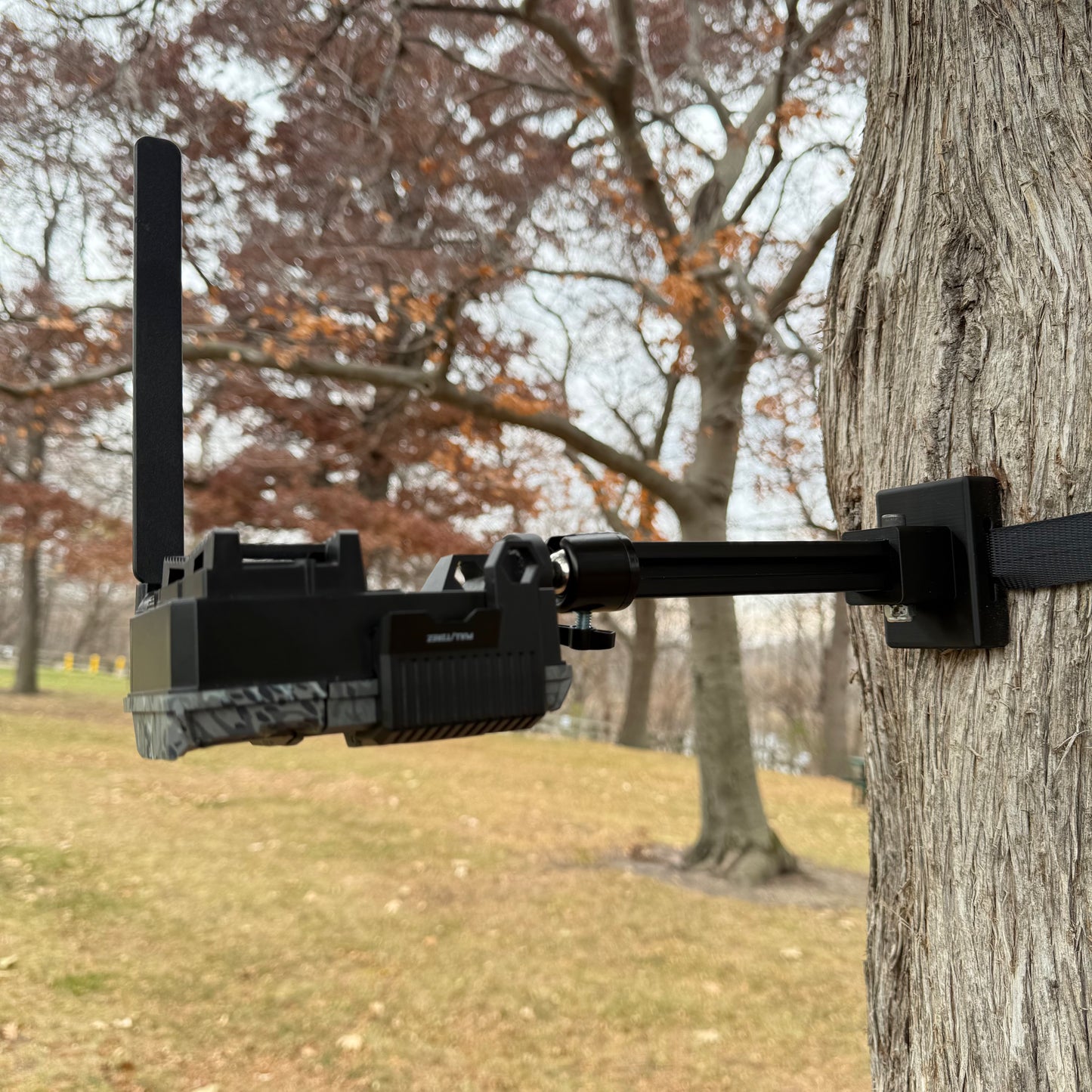 Trail Camera Mount