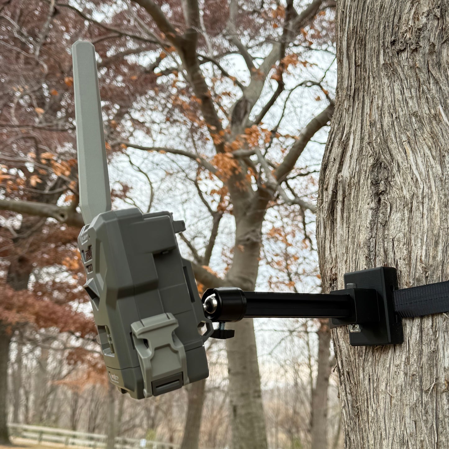 Trail Camera Mount