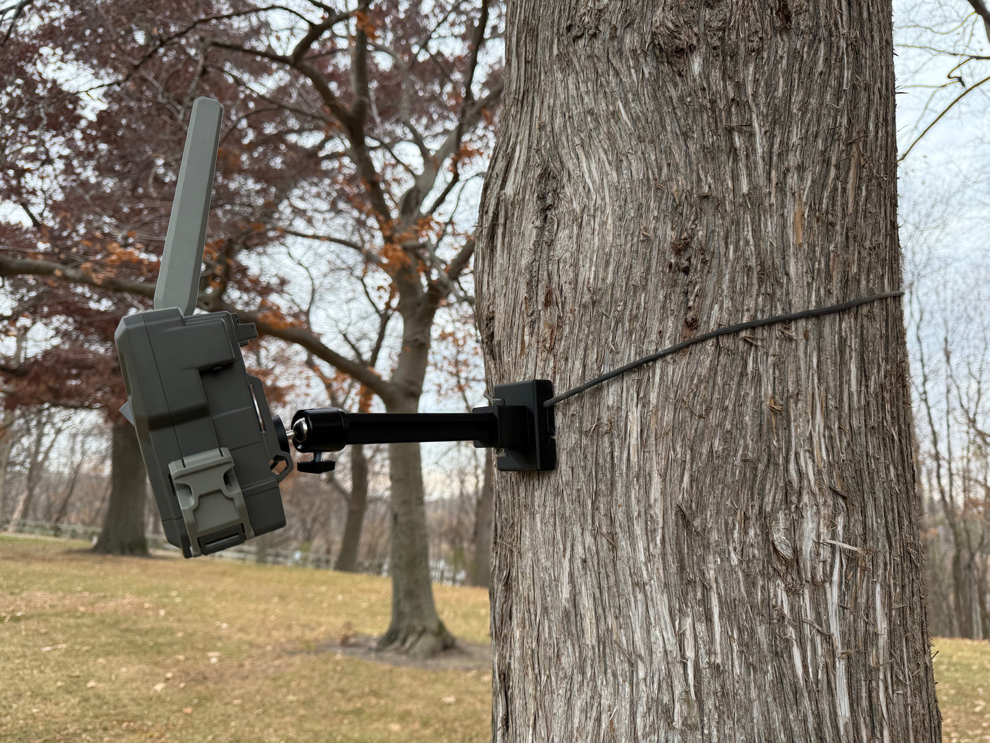 Trail Camera Mount